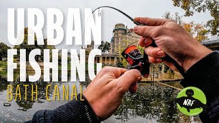 картинка: Я нашел СУХОЙ шлюз канала… и он был ПОЛОН рыбы!
