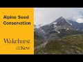 Alpine Seed Conservation