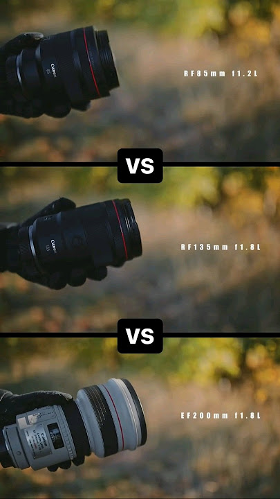 📸Curso de fotografía para principiantes, aprende a dominar cualquier camara #photography