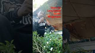 Download Lagu Ganito Gawin Magpaugat Ng Green Pandakaki#satisfying#palntsgrowth#plantsproduction#gardner MP3