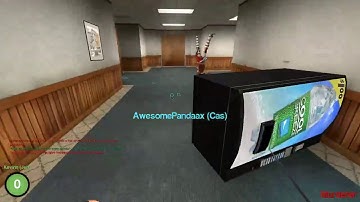 Panda At The Vending Machine