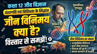 Class 12 Biology Chapter 4 | जीन विनिमय क्या है? | Crossing Over &amp; Its Importance