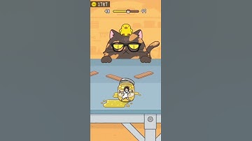 Hide and Seek: Cat Escape 🐹 Level 48 🌲 Gameplay Walkthrough 🍩 #hideandseek #catescape  #gameplay