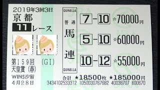 馬連17.8倍的中で帯封獲得！【競馬】天皇賞 春 2019 予想 （デムーロ騎手データもドンピシャ大的中！） ヨーコヨソー