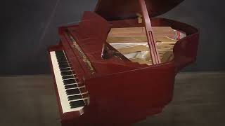 Steinway Boston GP-163 54 Grand Piano (#149986)