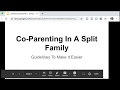An Intro To Co Parenting In A Split Family