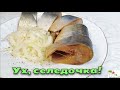 Как засолить селедку вкусно и быстро в рассоле с чаем. Вкуснее, чем на рынке