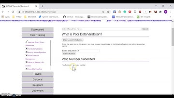 OWASP-Poor Data Validation