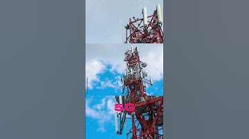 save birds. 😔😔please 🙏🏻.with let me down slowly song #viralshort save birds #youtubeshorts 🙏🏻