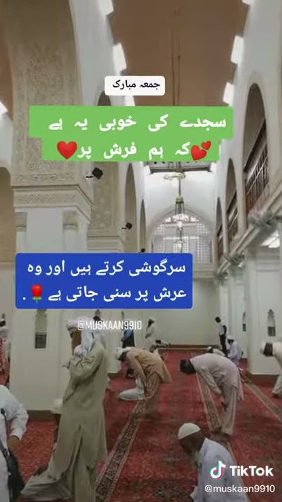 hani tiktok