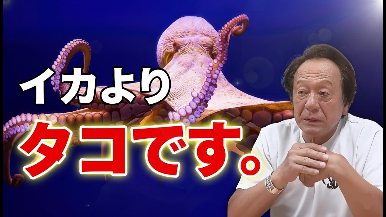 26kg impact] Why is it that even though they are both mollusks