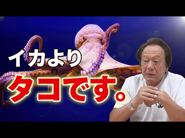 26kg impact] Why is it that even though they are both mollusks