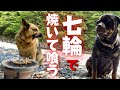 【これぞ贅沢の極み】大型犬と秘境でBBQ☆山、沢、七輪、ネイチャーサウンド