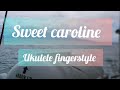 SWEET CAROLINE|VICTORWOOD|UKULELE FINGERSTYLE