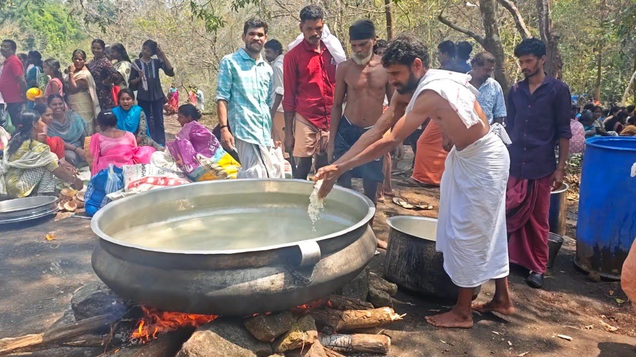 ക്ണാച്ചേരി വനത്തിനുള്ളിൽ നടന്ന ഈ ഉത്സവം കാണണ്ടേ?!!!#tribal #viral #wildlife 