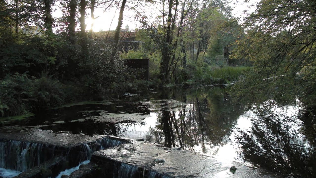 citycell Doneraile Wildlife Park, Co. Cork, Ireland - Oct 2014