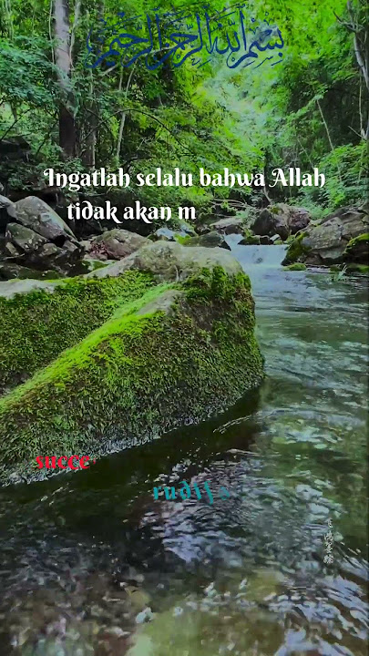 Motivational Videos.91 #katakatabijakviral #motivasidiri #katakatabagus