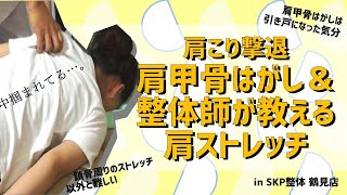 整体DVD+テキスト【肩こり撃退!手刀 肩甲骨はがしテクニック】石濱なお子 mqdefault.jpg
