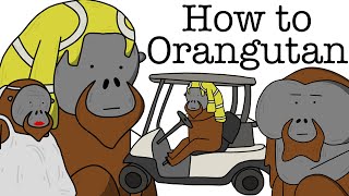 Your Life As An Orangutan