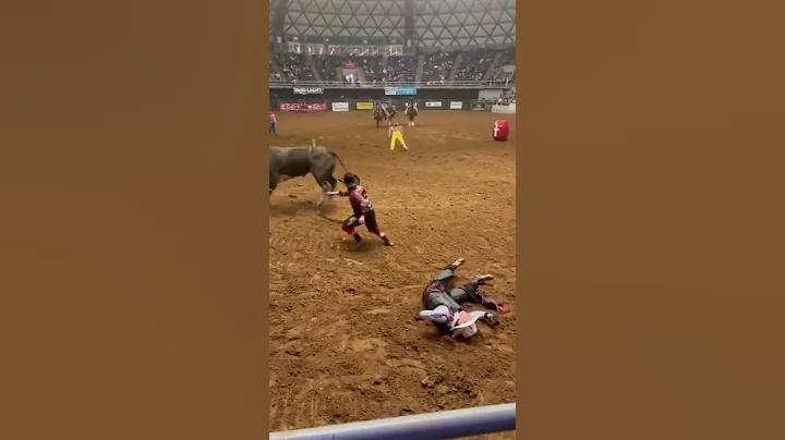 Father Saves Son * Bull Rider * Cody Hooks * Bull ...