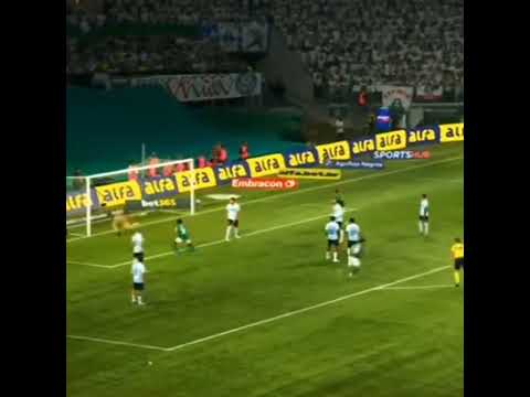 FACUNDO TORRES#viral#viralvideo#shorts#soccer#football#futebol#futbol#edit#palmeiras#highlights#fyp FACUNDO TORRES#viral#viralvideo#shorts#soccer#football#futebol#futbol#edit#palmeiras#highlights#fyp Thumbnail
