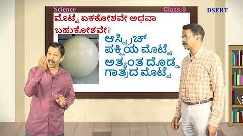 Bridge Course - Science - 9th - Day 19