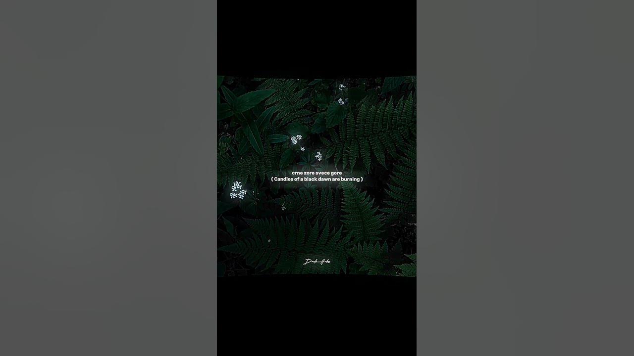 Moje More lyrics WhatsApp YouTube