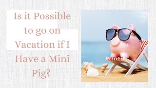The Surprising Truth About Taking Vacations when you have a Mini Pig by Autumn Acres Mini Pet Pigs 178 views 10 months ago 15 minutes
