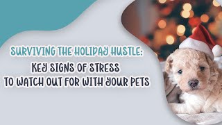 🎄 Surviving the Holiday Hustle: Key Signs of Stress to Watch Out For With Your Pets' by Ask Dr. Sammy 12 views 4 months ago 3 minutes, 22 seconds