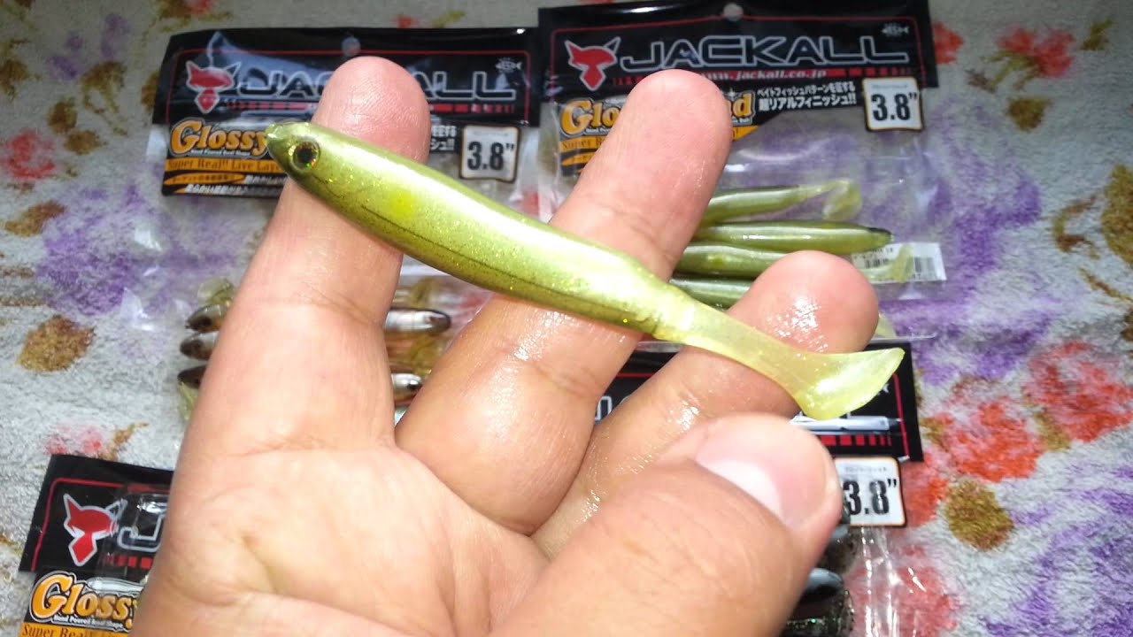 jackall glossy shad soft bait جاكال سوفت لورا كلوسي شاد