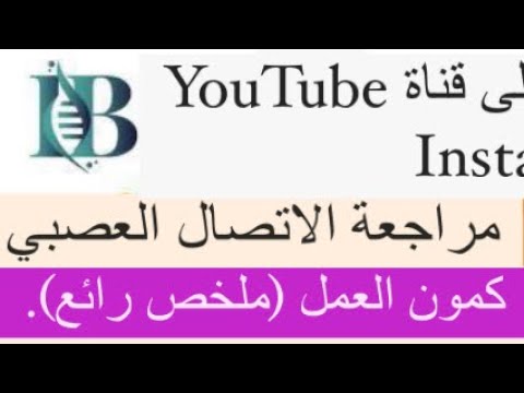 مراجعة شاملة الاتصال العصبي #كمون_العمل #قبل و #بعد #مشبكي في نصف ساعة افضل ملخص قبل الامتحان