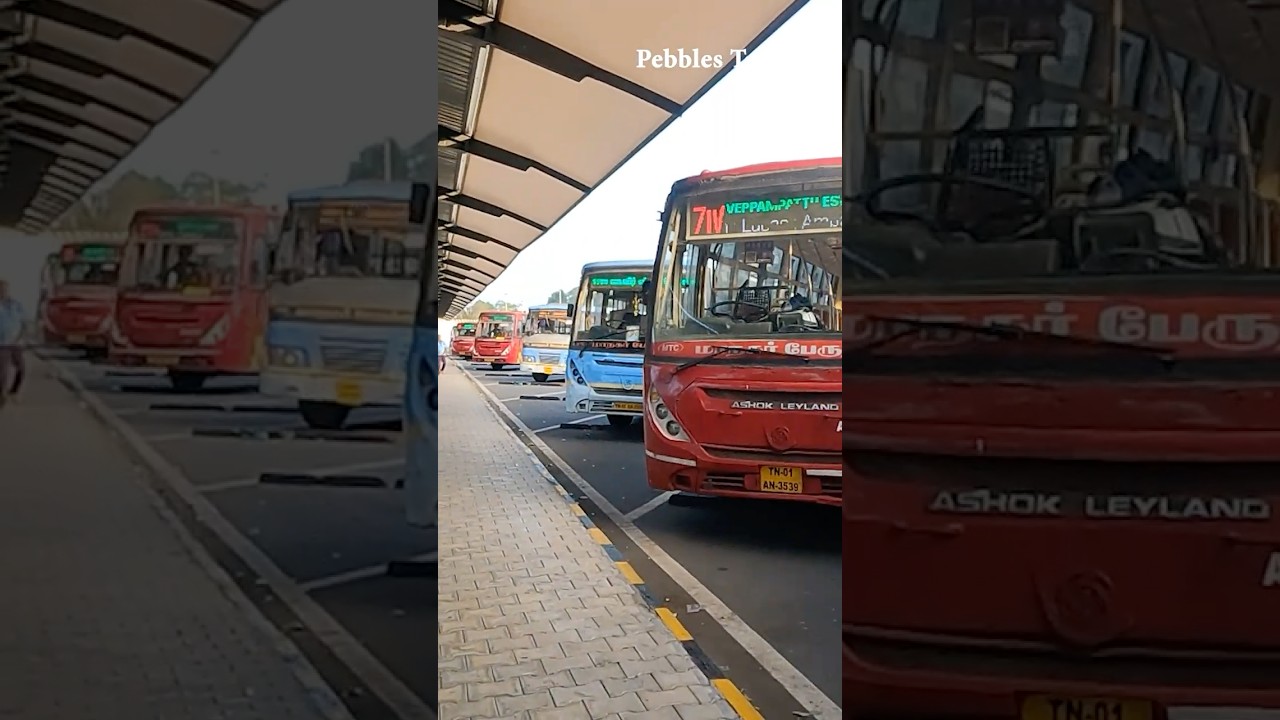 பிராட்வே to ராயபுரம் பஸ் ஸ்டாண்ட் | Broadway to Royapuram Bus Stand I MTC A51, E18, 18A, 17E, 11, 71