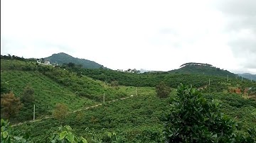 Bảo Lộc _ Đại Lào 1033m² Ql20 2km,xóm secondhome Sài Gòn, VIEW đồi núi. ôtô gầm thấp