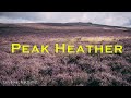 Peak Heather, Part one to the Salt Cellar landscape photography in the Peak District, Help Tips