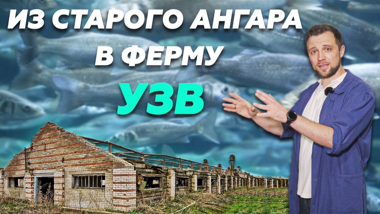 Как организовать рыбную ферму на участке?