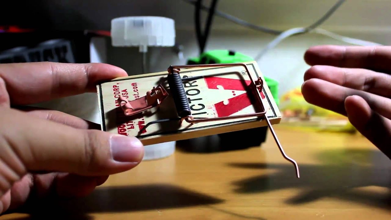 How to Make a Car from Mousetrap (Catapult Car) 