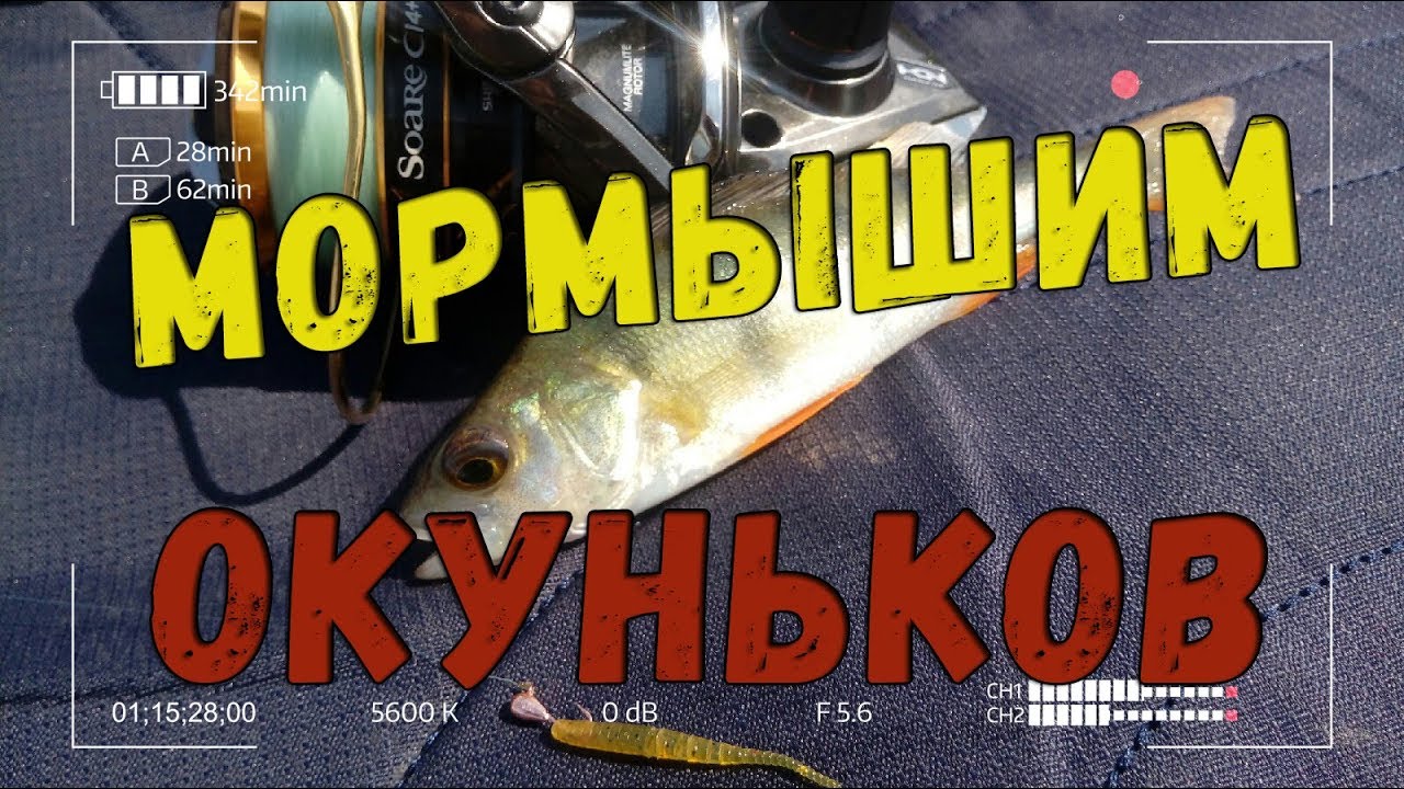 Мормышинг на оке Мормышинг на оке