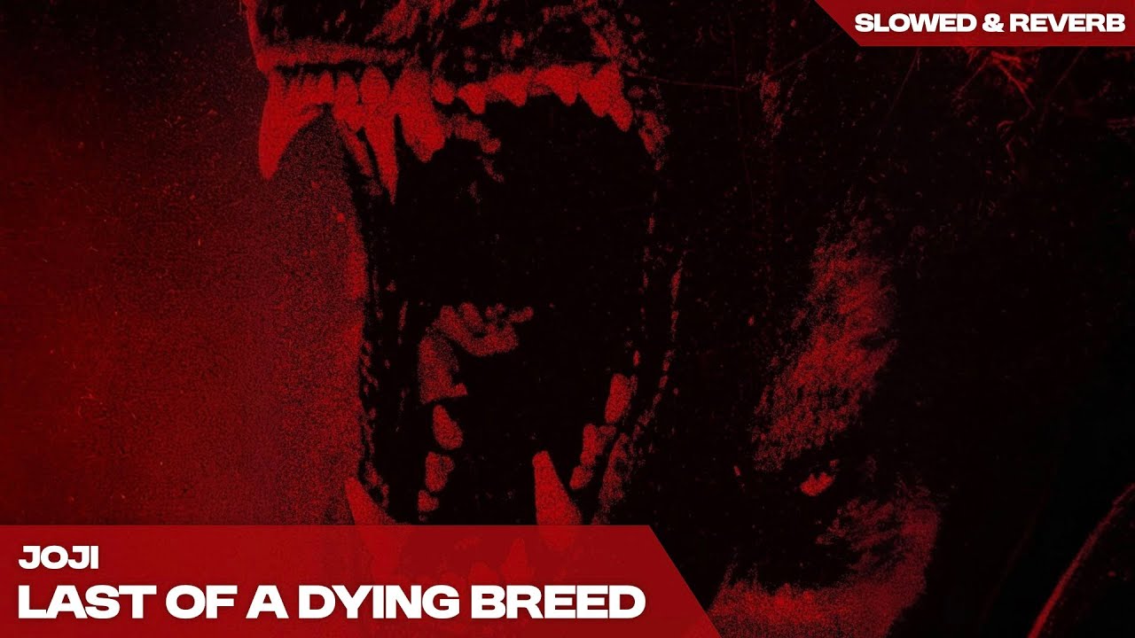 JOJI - LAST OF A DYING BREED  ( s l o w e d   +   r e v e r b )