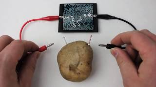 How To Solve A Maze Using A Potato (analog maze solving)