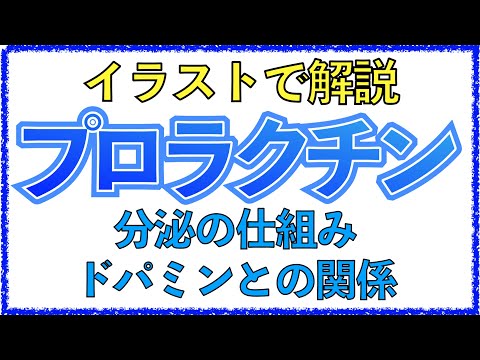 教科書をわかりやすく！「高プロラクチン血症の病態とは」原因や症状の機序、プロラクチンの作用を解説！