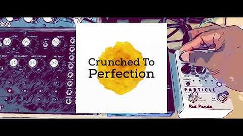 Red Panda Particle + Moog DFAM demo