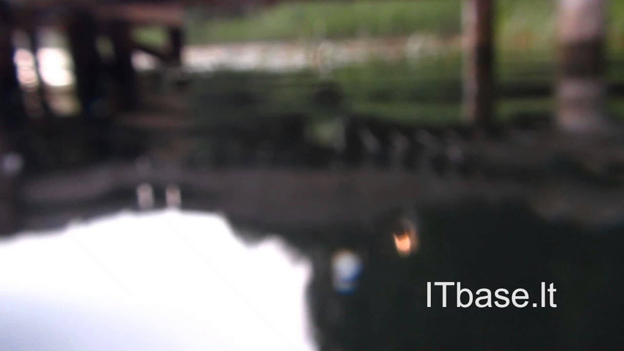 Testing Canon PowerShot D20 underwater camera YouTube