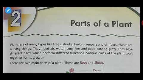 Class-3 Science chapter-2 Parts of a Plant