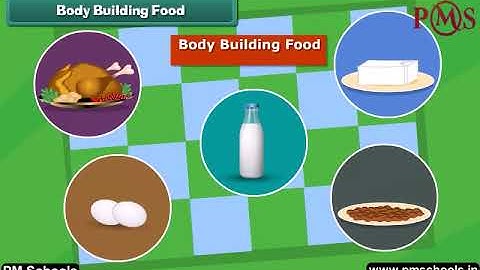 NCERT|CBSE Class 4-EVS|Food and Us| Animation in English|easy and fun