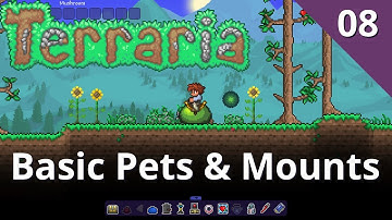 BASIC PETS & MOUNTS - LESSON 08 - TERRARIA MODDING MASTER CLASS