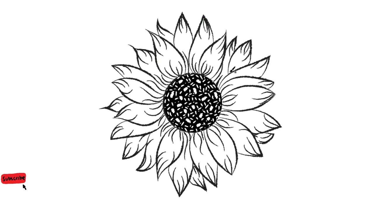 How to Draw a Sunflower | Easy Step-by-Step Guide - Arty Crafty Kids