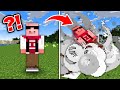 【マイクラ】止まったら爆発する世界でサバイバル