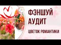 ФУНДАМЕНТАЛЬНОЕ БАЦЗЫ и ФЭНШУЙ: Звезда Романтики (Цветок Персика) в карте Бацзы