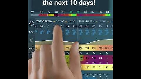 windy fish 25 01 21 @ 4x5