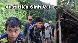 Xuất Hiện Một Sinh Vật Lạ | Cọp Kè Đã Không Thể Quay Về Nhà